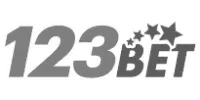 Interswitch partner logo